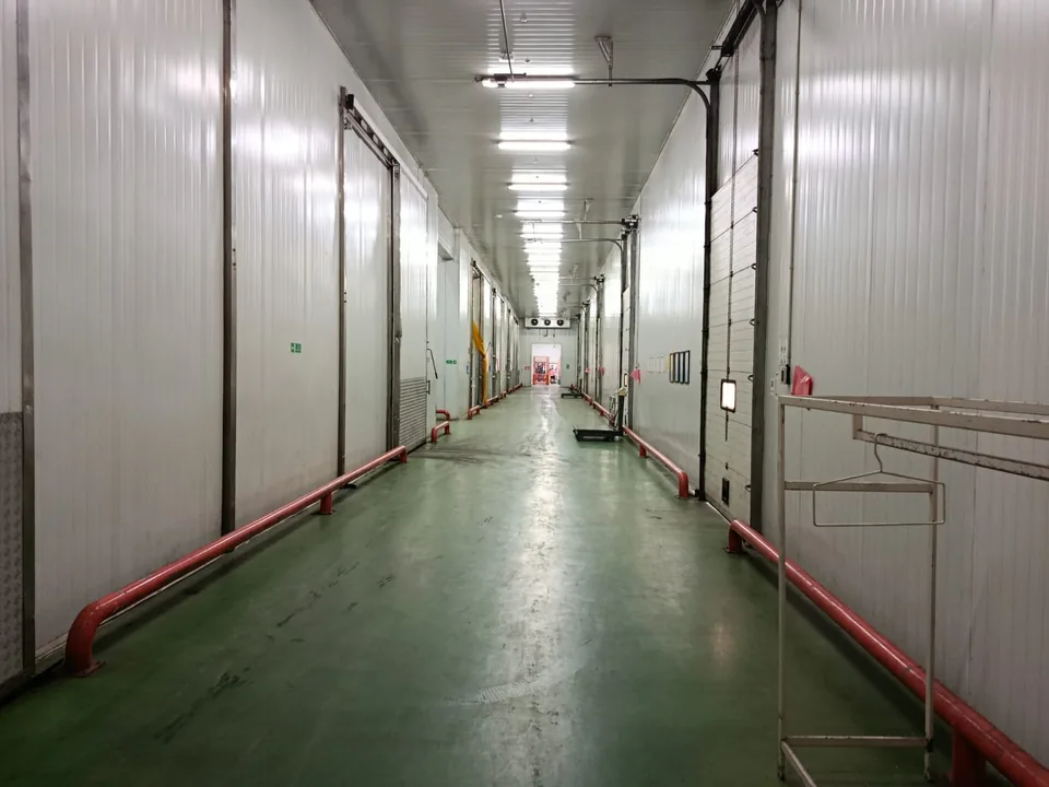 Koridor dengan pintu-pintu ruang penyimpanan berpendingin.