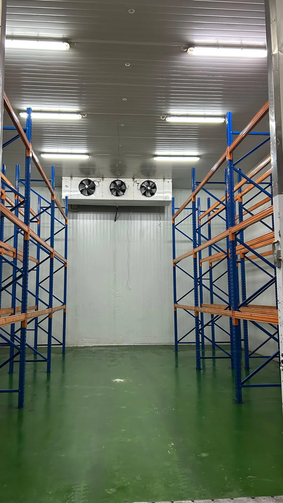 Rak penyimpanan dan unit pendingin di dalam ruang penyimpanan berpendingin.